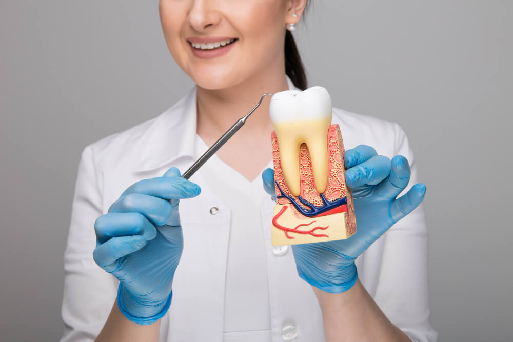 Root Canal Treatment in Adelaide